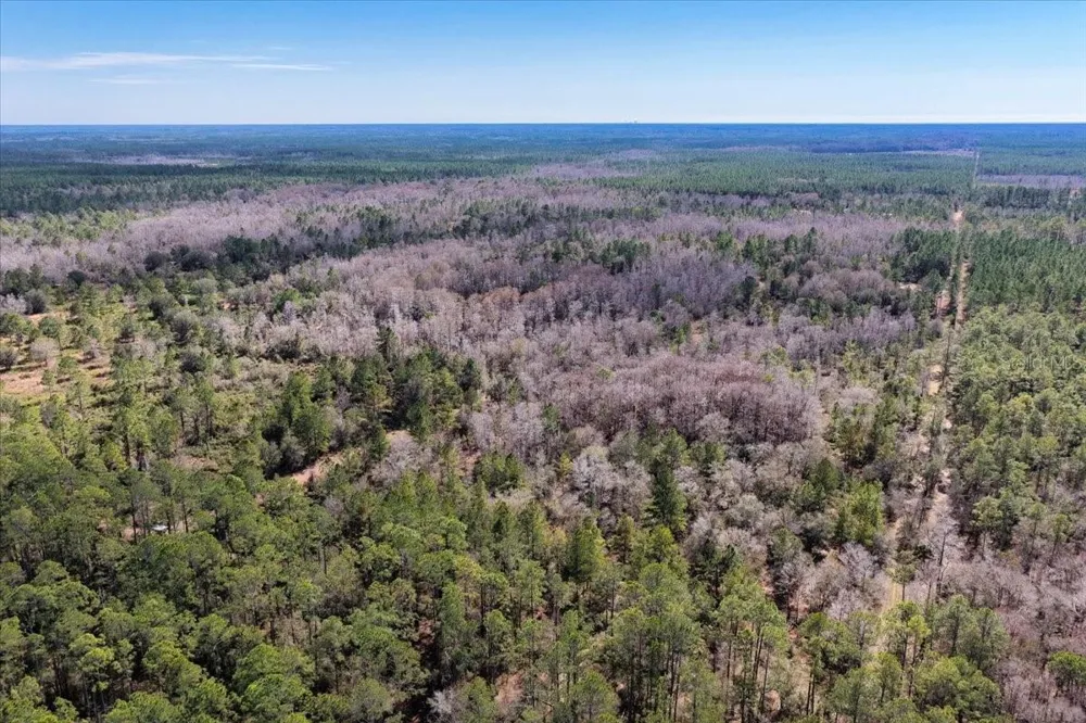 60 Acres NW CLYATT ROAD Chiefland, FL 32626