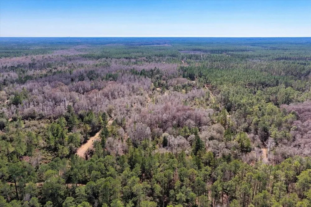 60 Acres NW CLYATT ROAD Chiefland, FL 32626