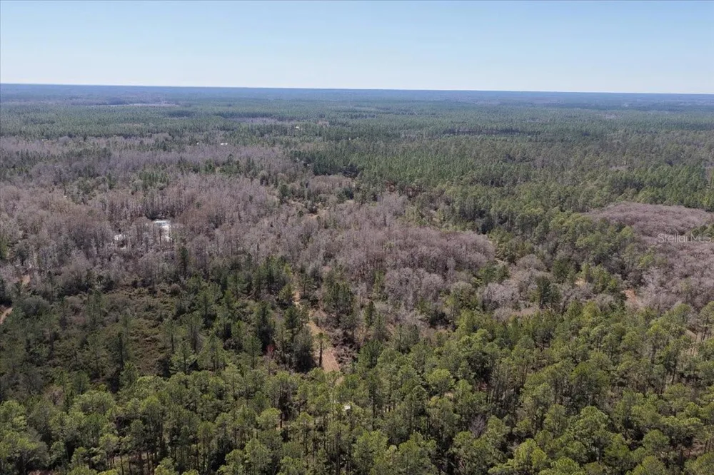 60 Acres NW CLYATT ROAD Chiefland, FL 32626