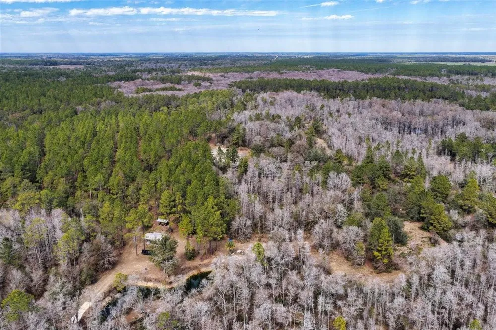 60 Acres NW CLYATT ROAD Chiefland, FL 32626