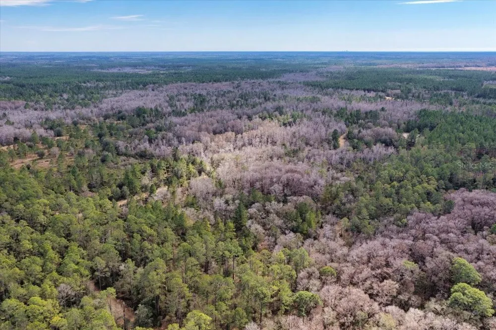 60 Acres NW CLYATT ROAD Chiefland, FL 32626