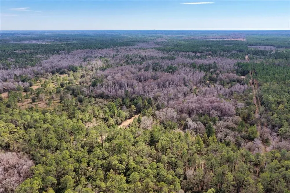 60 Acres NW CLYATT ROAD Chiefland, FL 32626