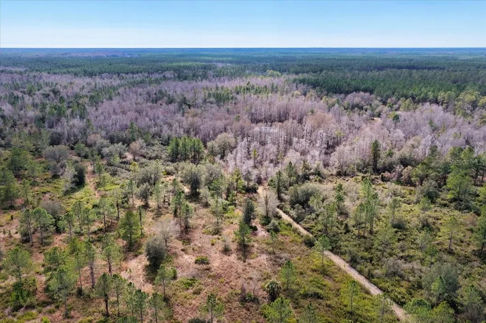 60 Acres NW CLYATT ROAD Chiefland, FL 32626