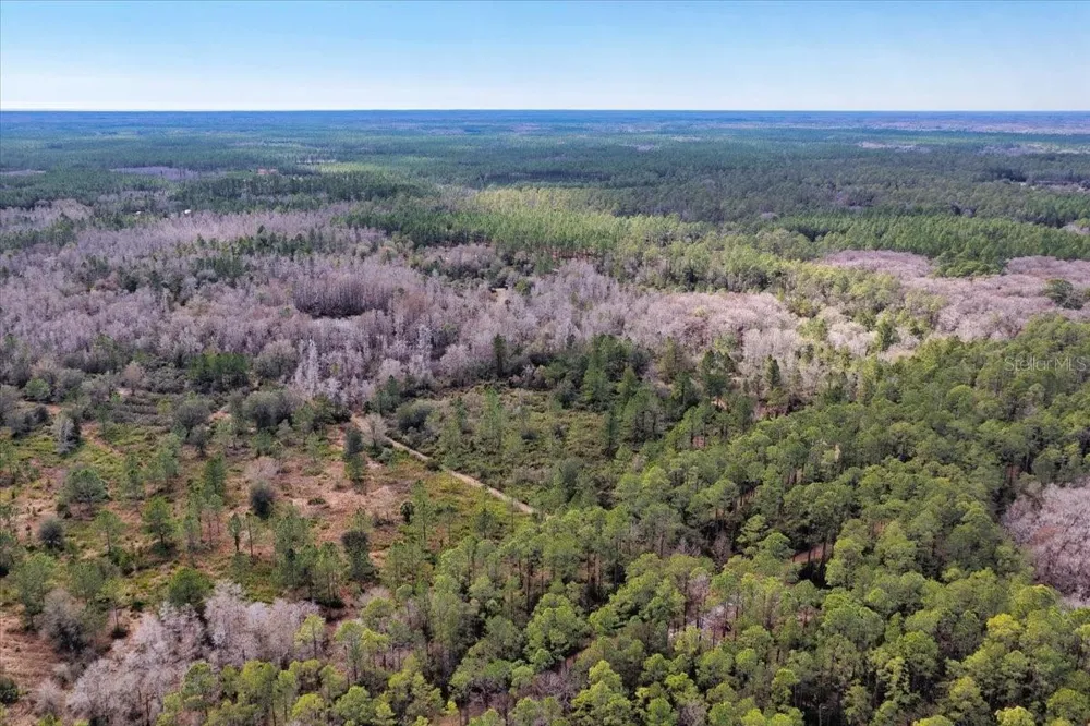 60 Acres NW CLYATT ROAD Chiefland, FL 32626
