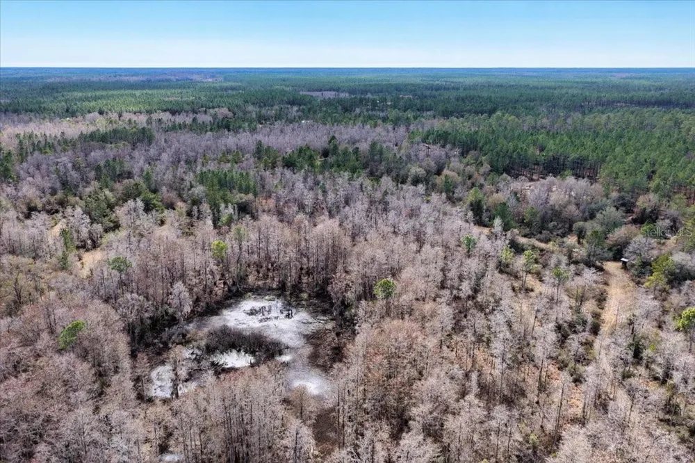 60 Acres NW CLYATT ROAD Chiefland, FL 32626