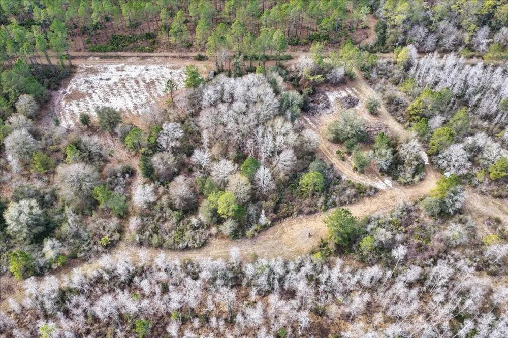 60 Acres NW CLYATT ROAD Chiefland, FL 32626