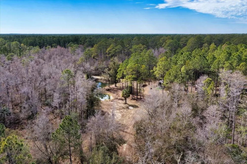 60 Acres NW CLYATT ROAD Chiefland, FL 32626
