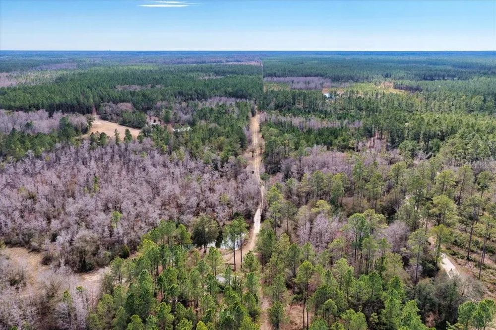 60 Acres NW CLYATT ROAD Chiefland, FL 32626