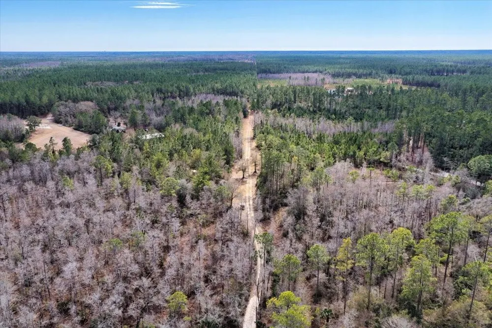 60 Acres NW CLYATT ROAD Chiefland, FL 32626