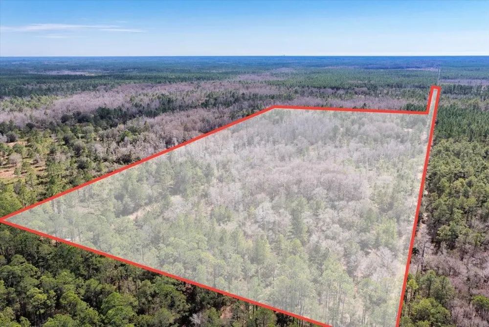 60 Acres NW CLYATT ROAD Chiefland, FL 32626