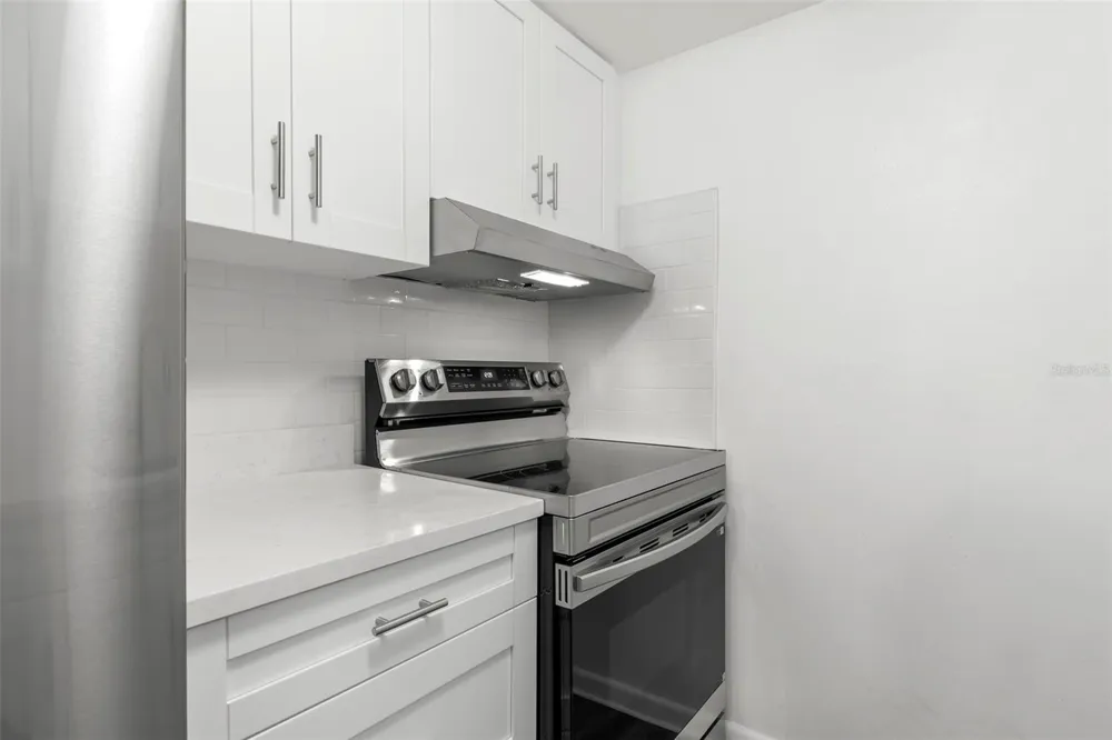 11025 2ND STREET E #8 Treasure Island, FL 33706