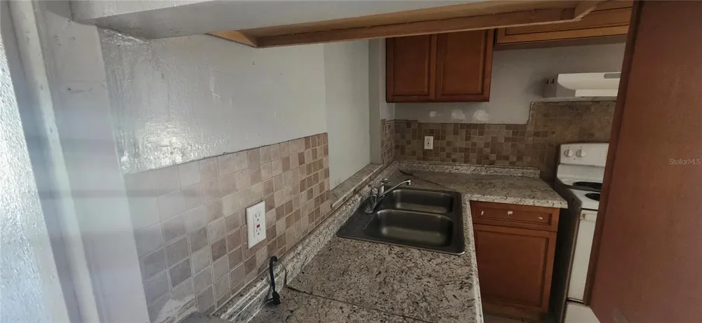 4839 BILLY DIRECT LANE Lutz, FL 33559
