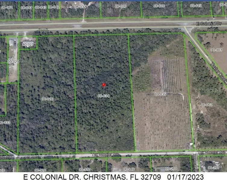 E COLONIAL DRIVE Christmas, FL 32709