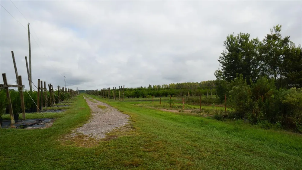 DOUGLAS ROAD Groveland, FL 34736