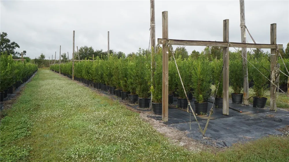 DOUGLAS ROAD Groveland, FL 34736