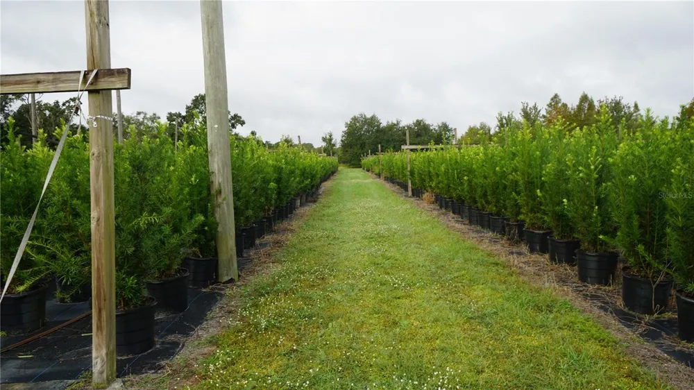DOUGLAS ROAD Groveland, FL 34736