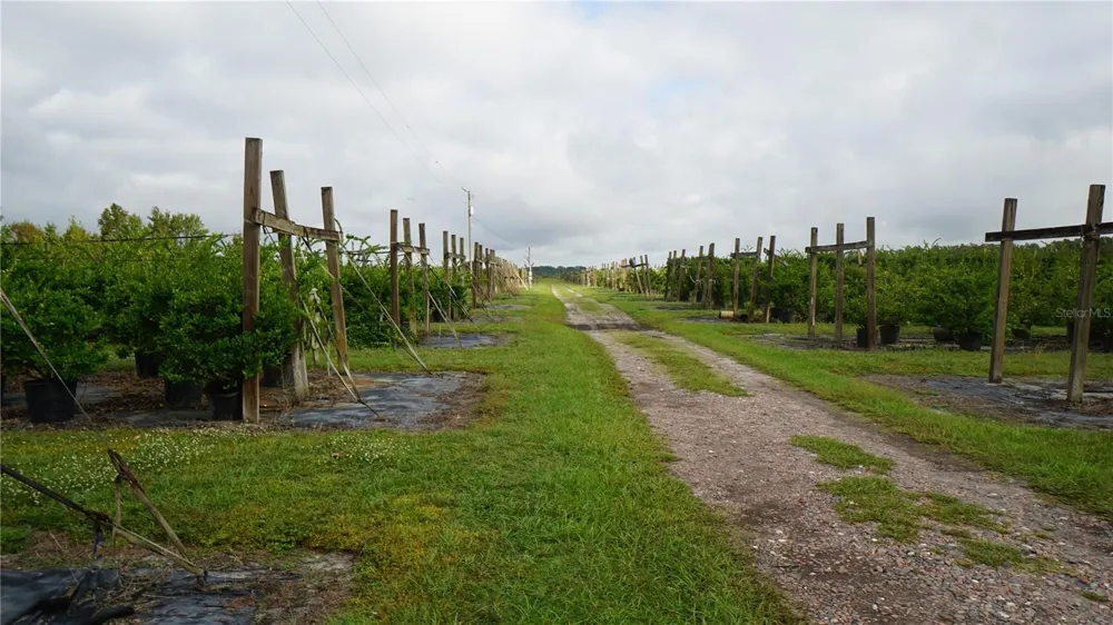 DOUGLAS ROAD Groveland, FL 34736