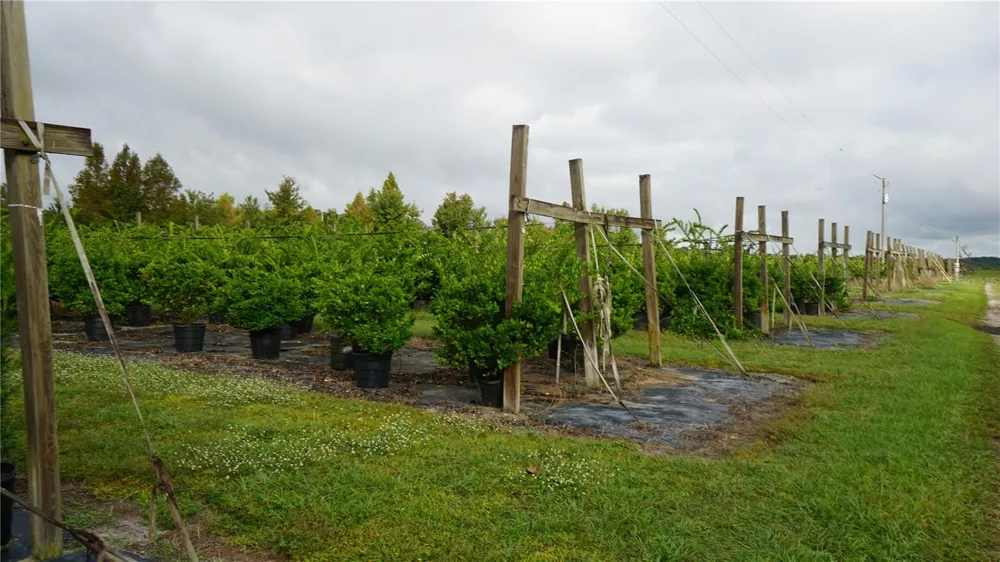 DOUGLAS ROAD Groveland, FL 34736