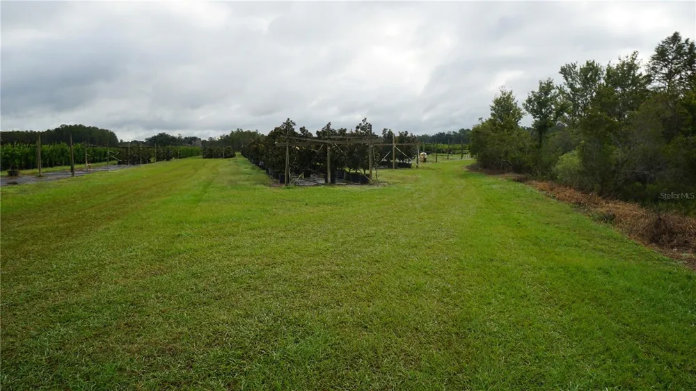 DOUGLAS ROAD Groveland, FL 34736