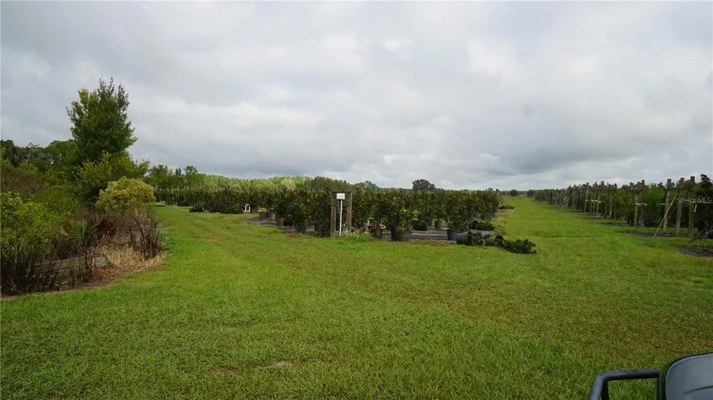 DOUGLAS ROAD Groveland, FL 34736