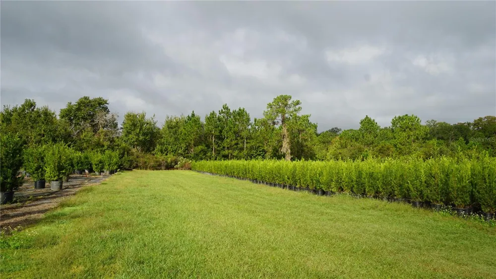 DOUGLAS ROAD Groveland, FL 34736