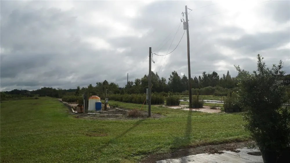 DOUGLAS ROAD Groveland, FL 34736