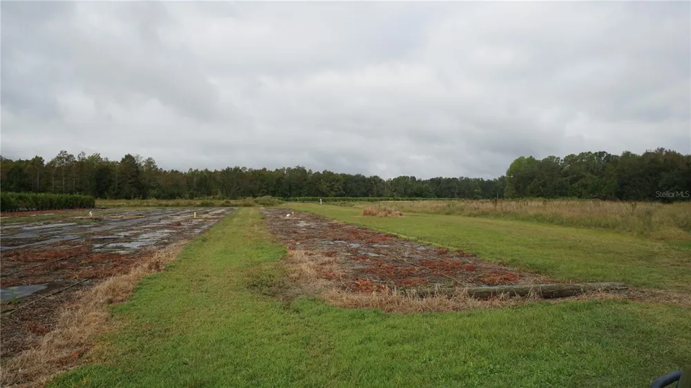 DOUGLAS ROAD Groveland, FL 34736