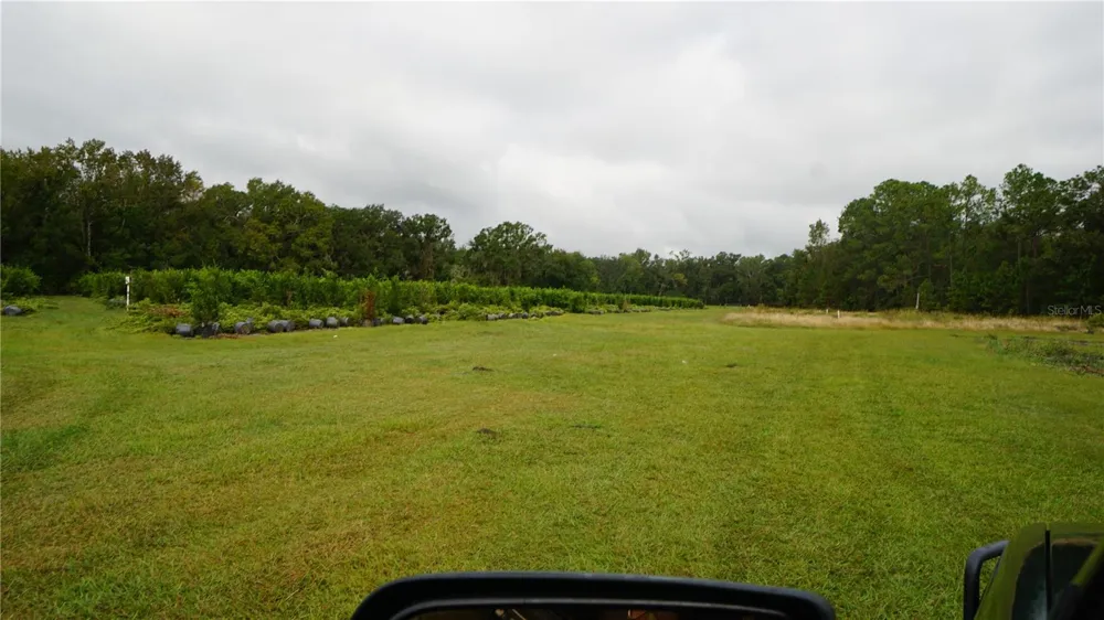 DOUGLAS ROAD Groveland, FL 34736