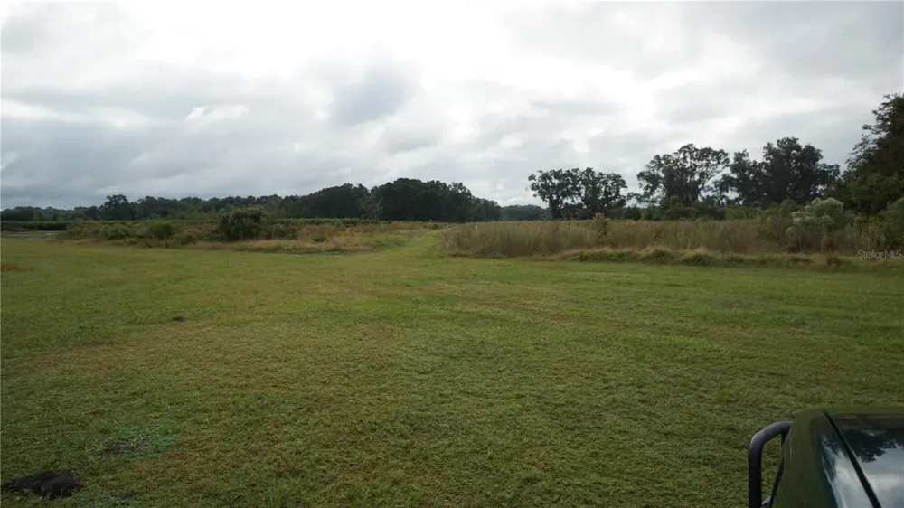 DOUGLAS ROAD Groveland, FL 34736