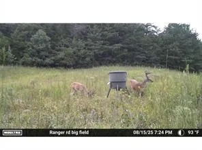 7596 Red Bud NE Ranger, GA 30734