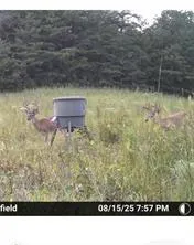 7596 Red Bud NE Ranger, GA 30734