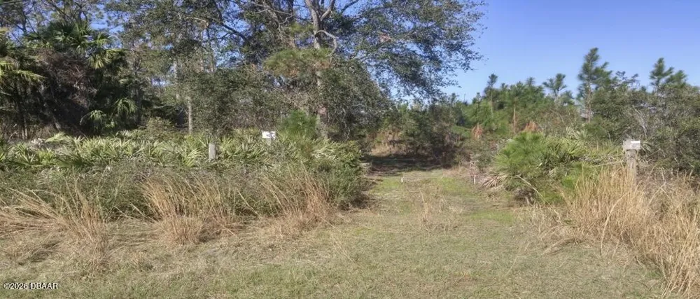 US 1 North Bunnell, FL 32110