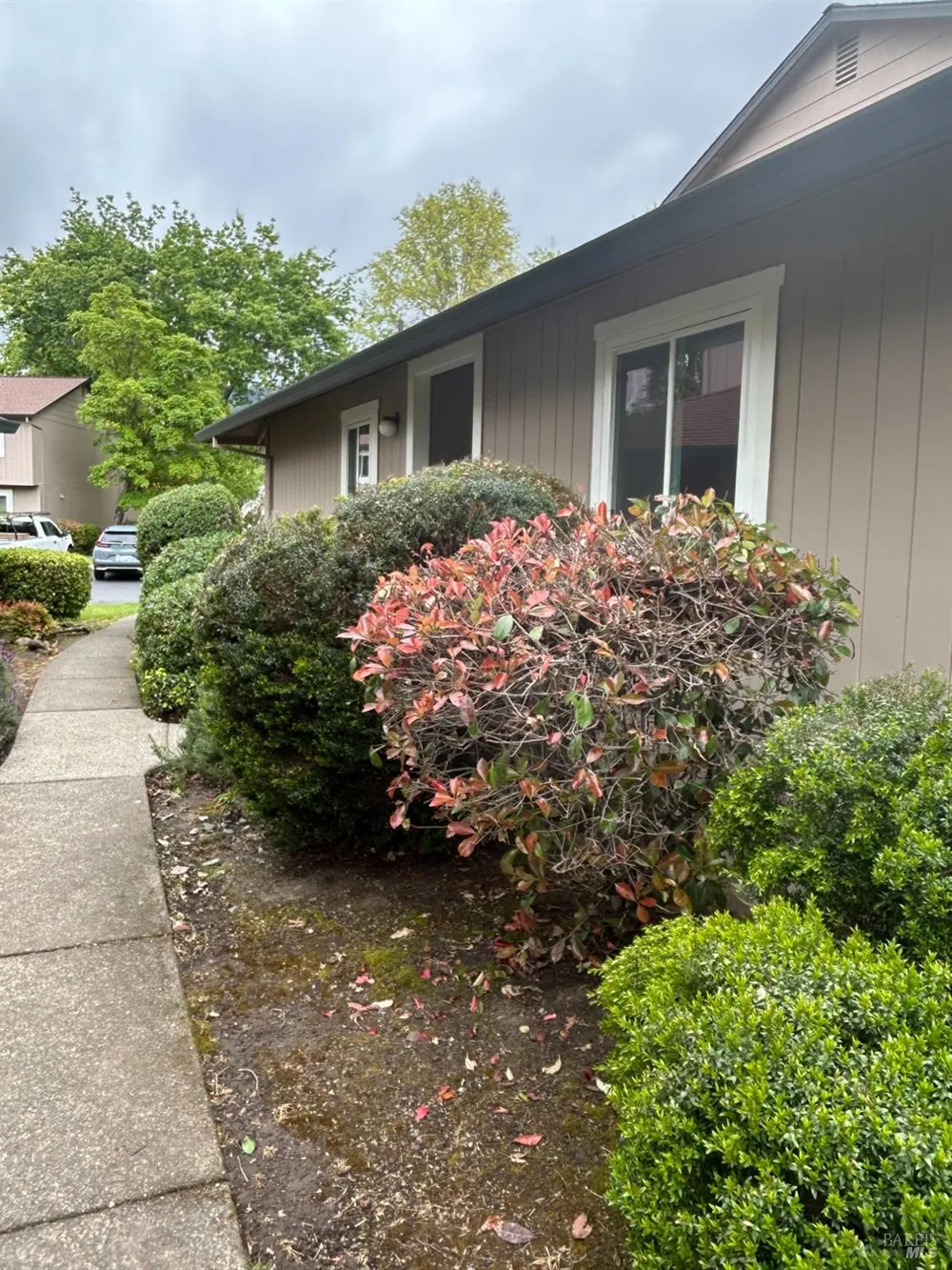 311 Algiers Court Santa Rosa, CA 95409