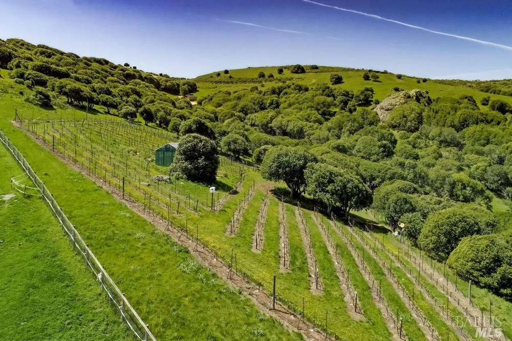 333 Willow Road Nicasio, CA 94946