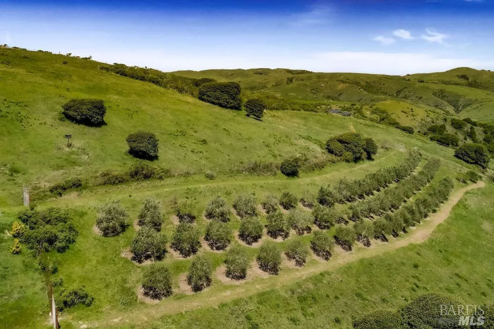 333 Willow Road Nicasio, CA 94946