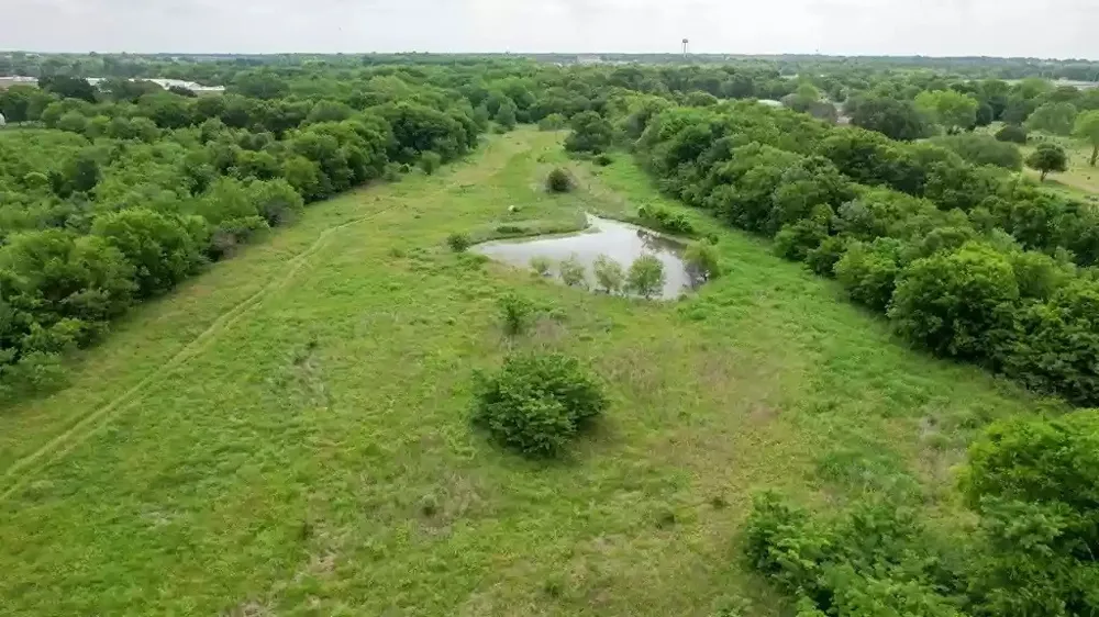 Tolosa Road Kemp, TX 75143