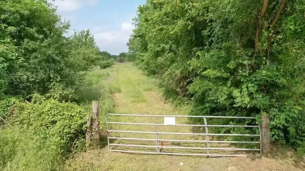 Tolosa Road Kemp, TX 75143