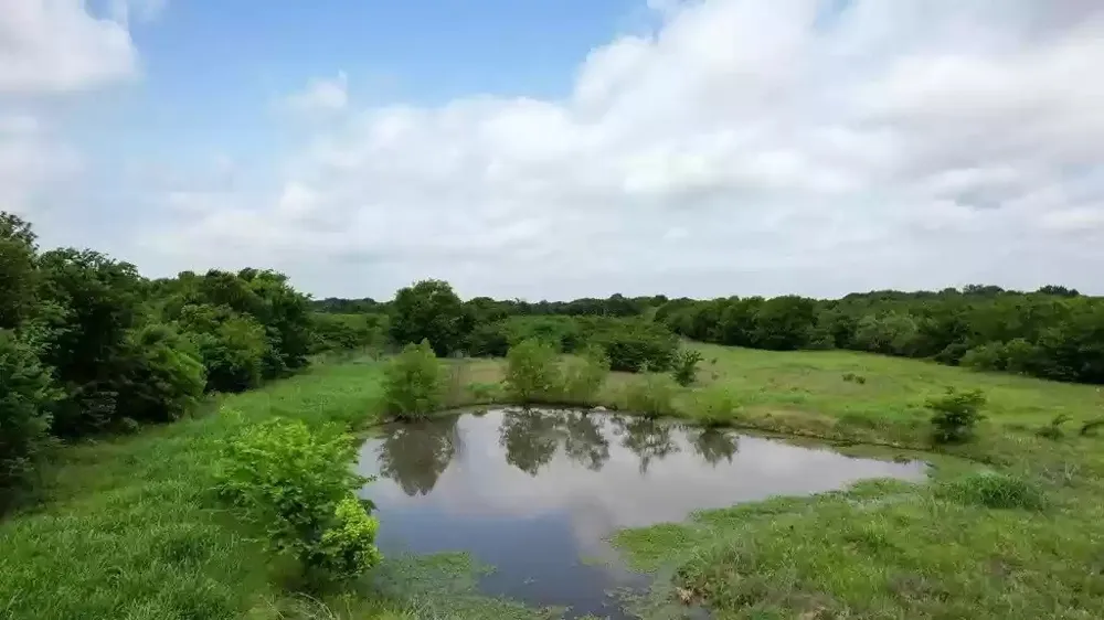 Tolosa Road Kemp, TX 75143