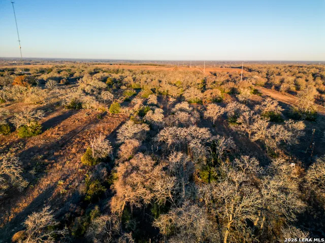 TBD Sandy Pine Luling, TX 78648