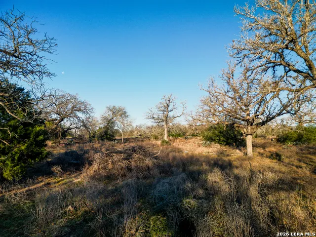 TBD Sandy Pine Luling, TX 78648