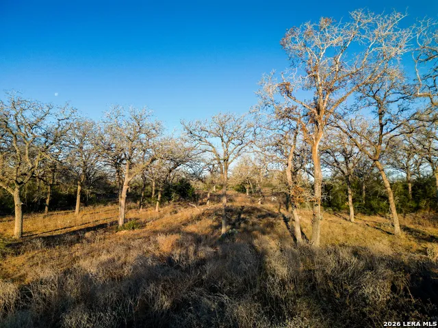 TBD Sandy Pine Luling, TX 78648