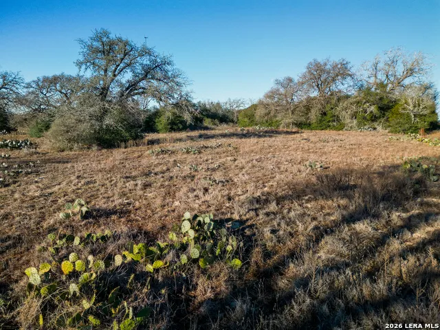 TBD Sandy Pine Luling, TX 78648