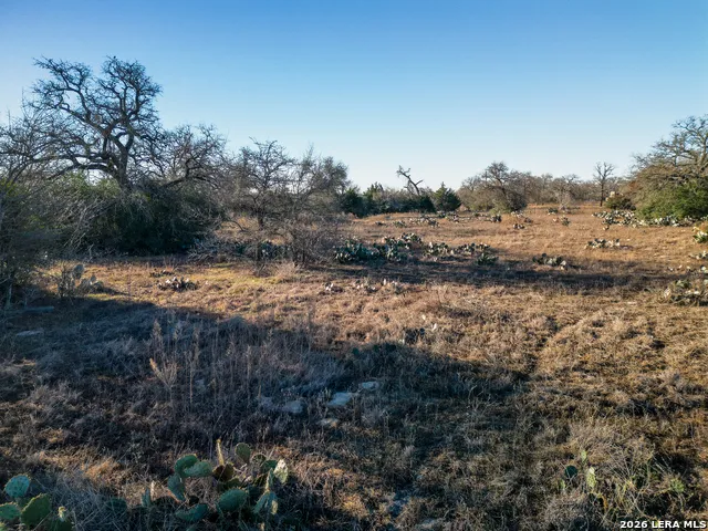 TBD Sandy Pine Luling, TX 78648