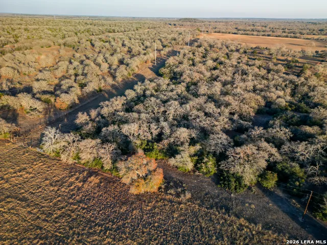 TBD Sandy Pine Luling, TX 78648
