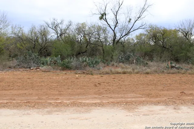 3435 County Road/Main Street Pearsall, TX 78061
