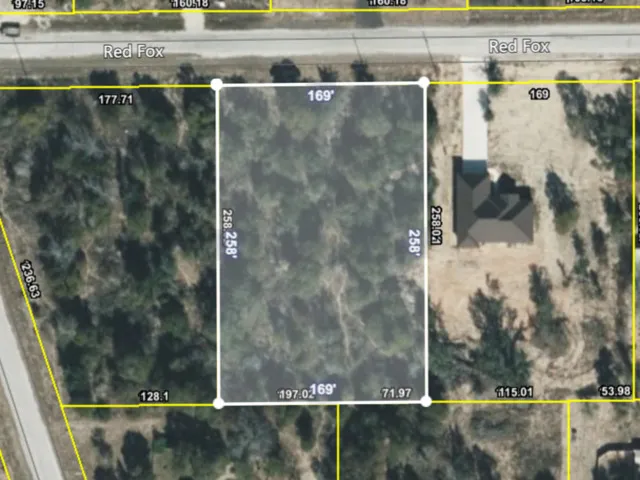 139 Red Fox Poteet, TX 78065