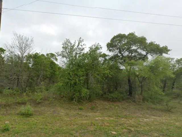 LOT 106 Red Fox Poteet, TX 78065