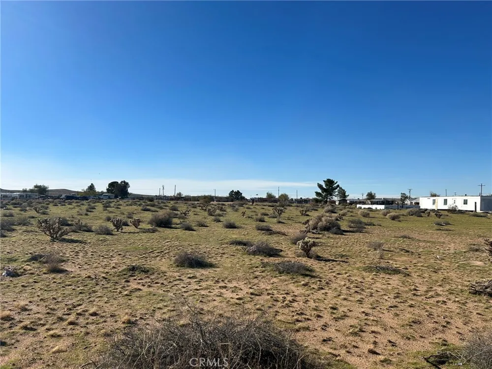 Valley Wells Road NPN-0494-291-21-0000 Hinkley, CA 92347