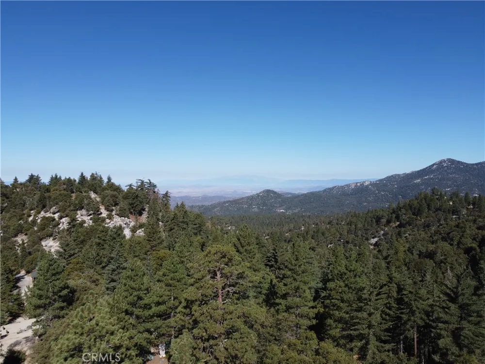 25110 Glen Road Idyllwild, CA 92549