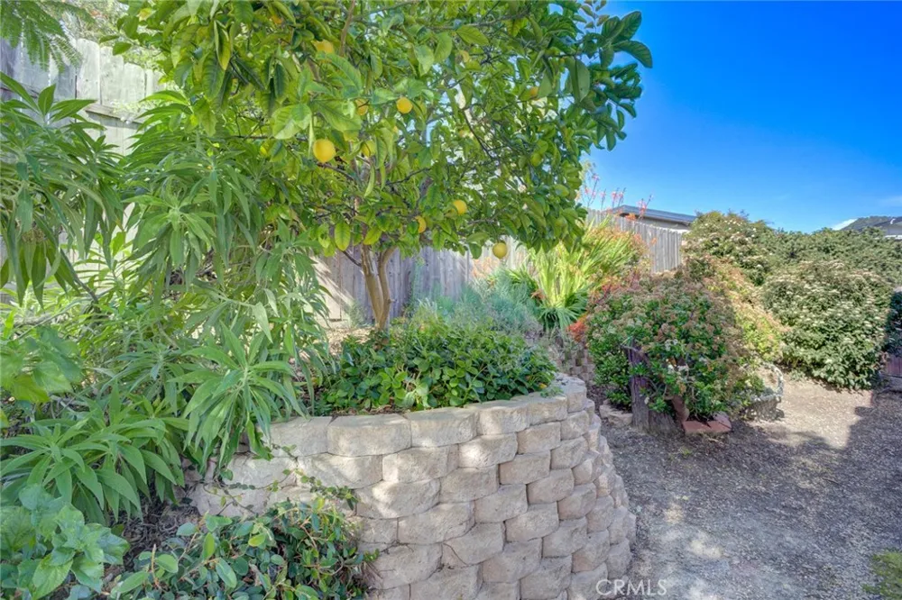 130 Quail Way Avila Beach, CA 93424